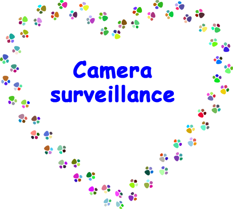 camera surveillance - dog/house view - Kameraüberwachung