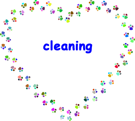 cleaning - dog room/house cleaning - Reinigung